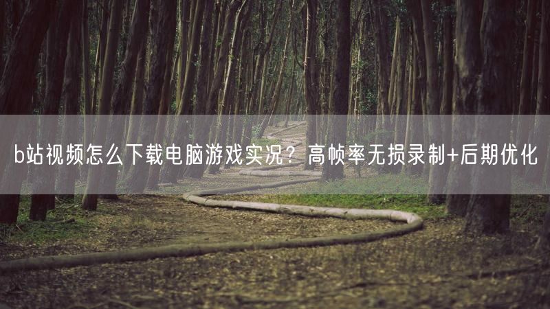 b站视频怎么下载电脑游戏实况？高帧率无损录制+后期优化