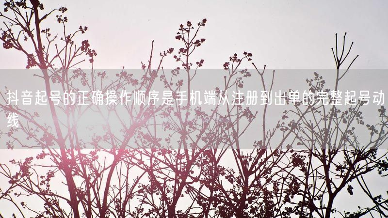 抖音起号的正确操作顺序是手机端从注册到出单的完整起号动线