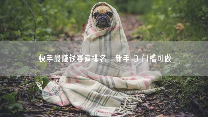 快手最赚钱赛道排名，新手 0 门槛可做