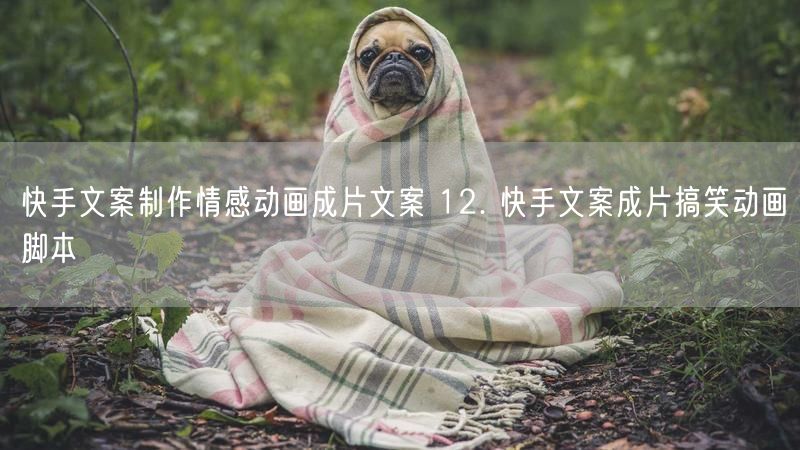 快手文案制作情感动画成片文案 12. 快手文案成片搞笑动画脚本