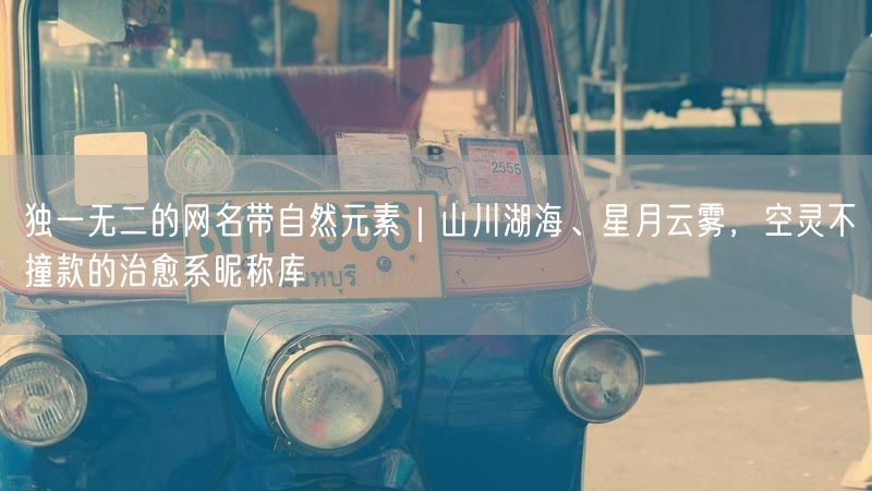 独一无二的网名带自然元素｜山川湖海、星月云雾，空灵不撞款的治愈系昵称库