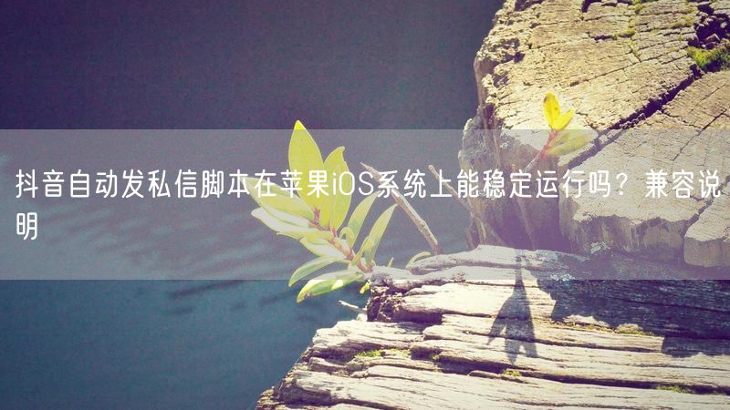 抖音自动发私信脚本在苹果iOS系统上能稳定运行吗？兼容说明
