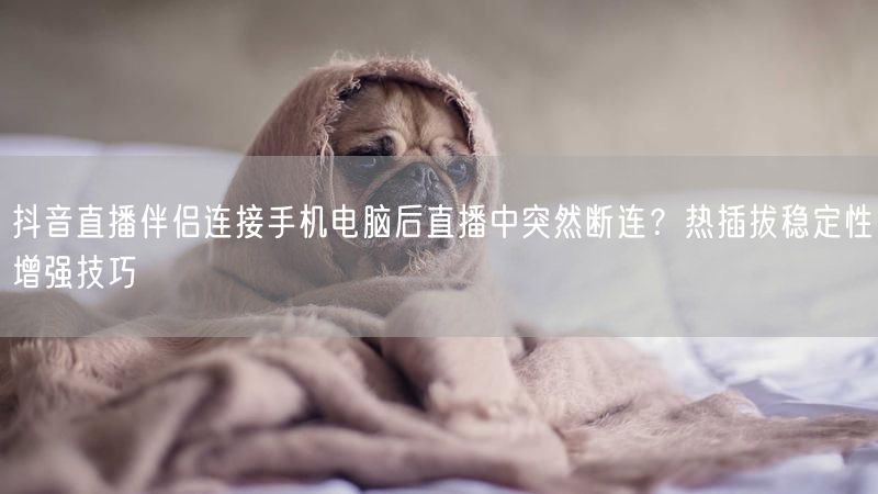 抖音直播伴侣连接手机电脑后直播中突然断连？热插拔稳定性增强技巧