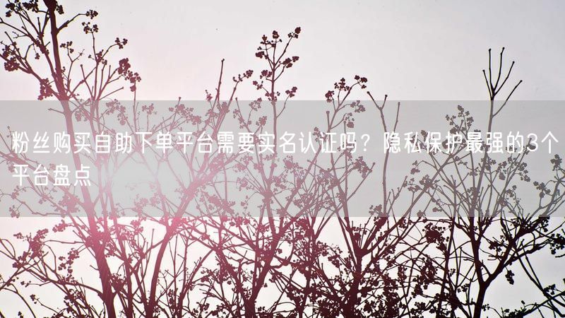 粉丝购买自助下单平台需要实名认证吗？隐私保护最强的3个平台盘点