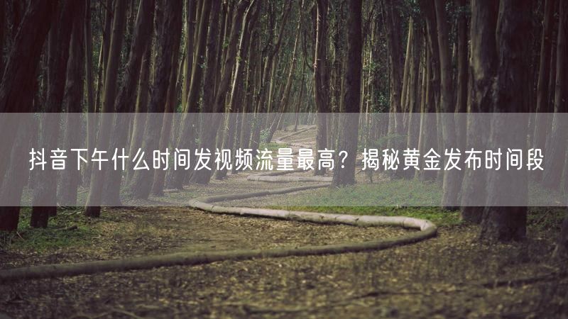抖音下午什么时间发视频流量最高？揭秘黄金发布时间段