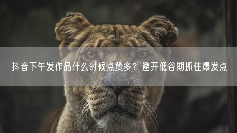 抖音下午发作品什么时候点赞多？避开低谷期抓住爆发点