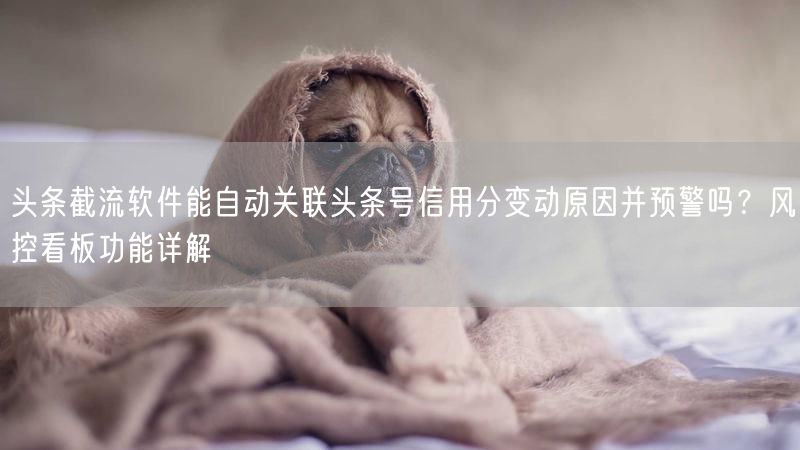 头条截流软件能自动关联头条号信用分变动原因并预警吗？风控看板功能详解