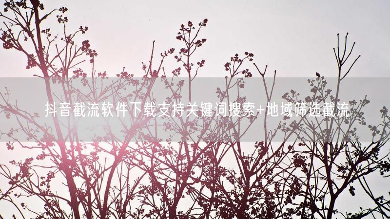 抖音截流软件下载支持关键词搜索+地域筛选截流
