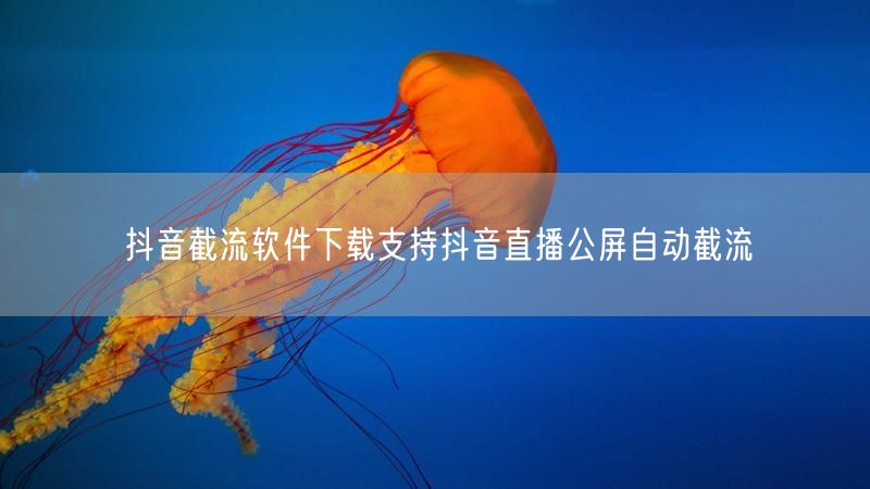 抖音截流软件下载支持抖音直播公屏自动截流