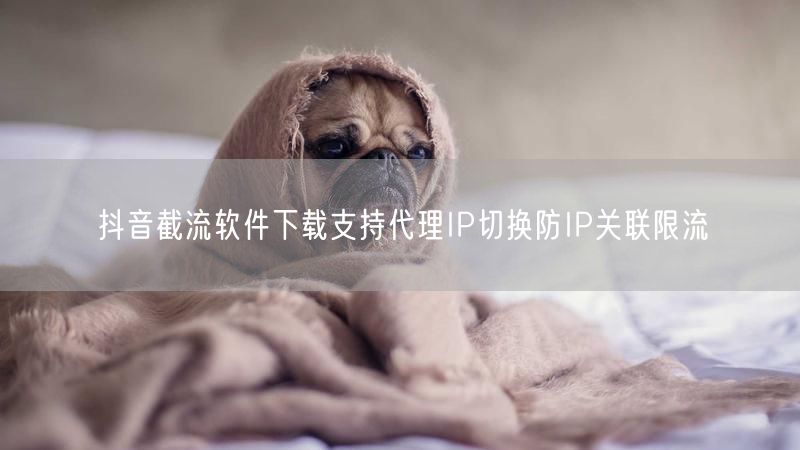 抖音截流软件下载支持代理IP切换防IP关联限流