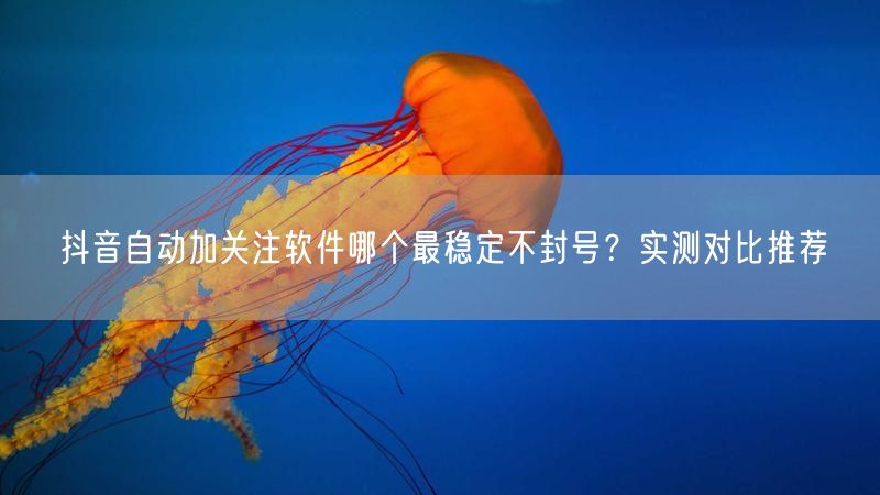 抖音自动加关注软件哪个最稳定不封号？实测对比推荐