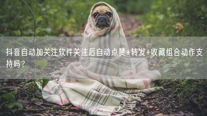 抖音自动加关注软件关注后自动点赞+转发+收藏组合动作支持吗？