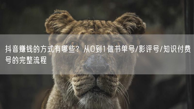 抖音赚钱的方式有哪些？从0到1做书单号/影评号/知识付费号的完整流程