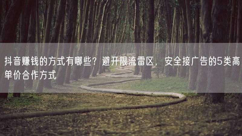 抖音赚钱的方式有哪些？避开限流雷区，安全接广告的5类高单价合作方式