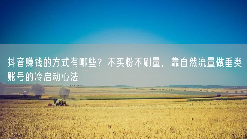抖音赚钱的方式有哪些？不买粉不刷量，靠自然流量做垂类账号的冷启动心法
