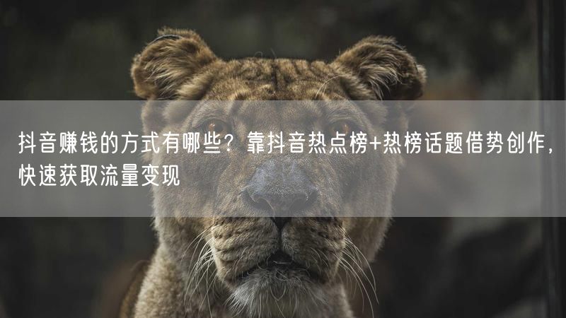 抖音赚钱的方式有哪些？靠抖音热点榜+热榜话题借势创作，快速获取流量变现