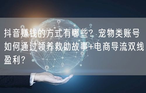 抖音赚钱的方式有哪些？宠物类账号如何通过领养救助故事+电商导流双线盈利？