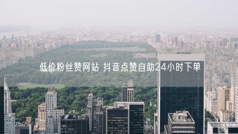 低价粉丝赞网站 抖音点赞自助24小时下单