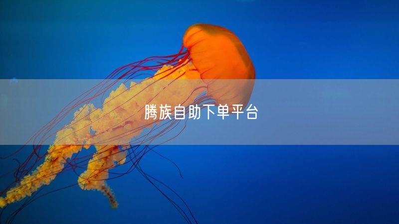 腾族自助下单平台