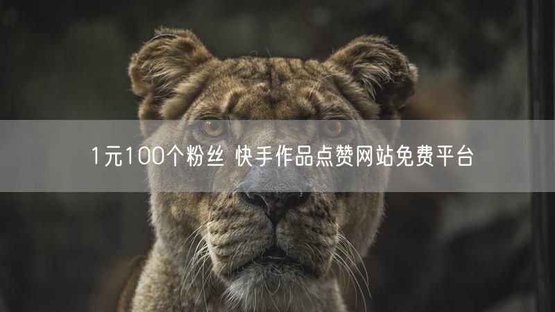 1元100个粉丝 快手作品点赞网站免费平台