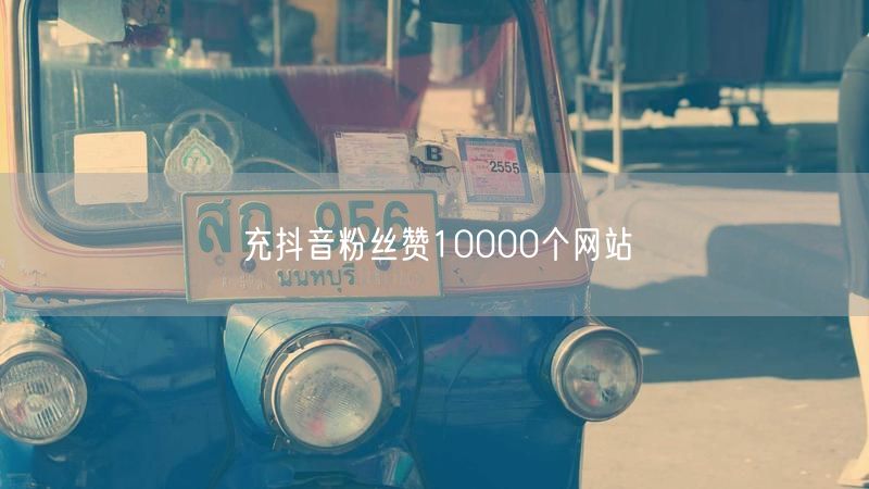 充抖音粉丝赞10000个网站