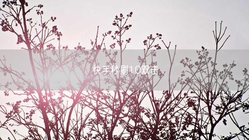 快手秒刷10双击
