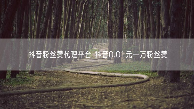 抖音粉丝赞代理平台 抖音0.01元一万粉丝赞