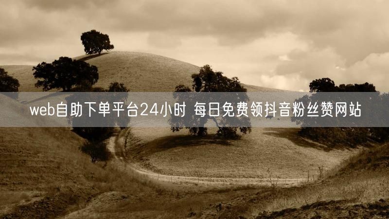 web自助下单平台24小时 每日免费领抖音粉丝赞网站