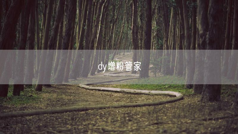 dy增粉管家