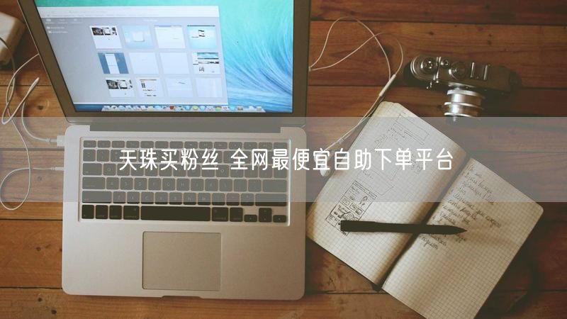天珠买粉丝 全网最便宜自助下单平台