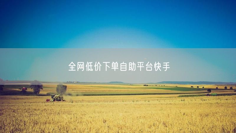 全网低价下单自助平台快手