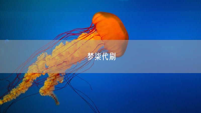 梦柒代刷