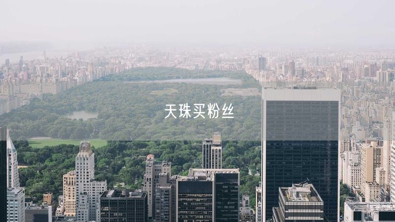 天珠买粉丝